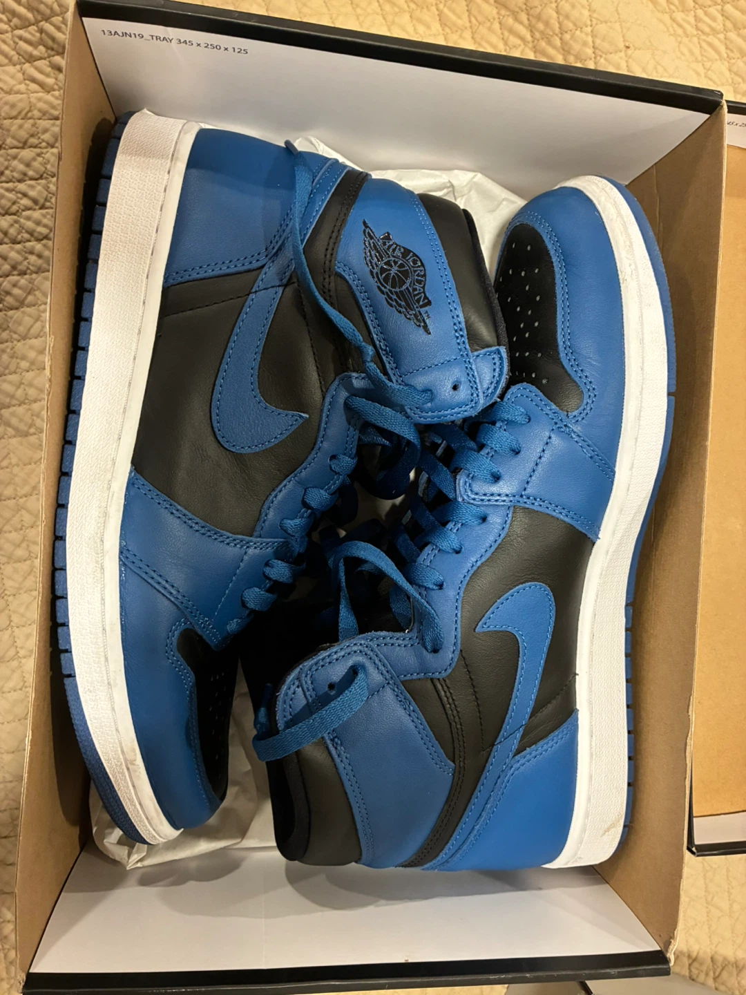 Air Jordan 1 Retro High OG "Court Purple" Men's US 13