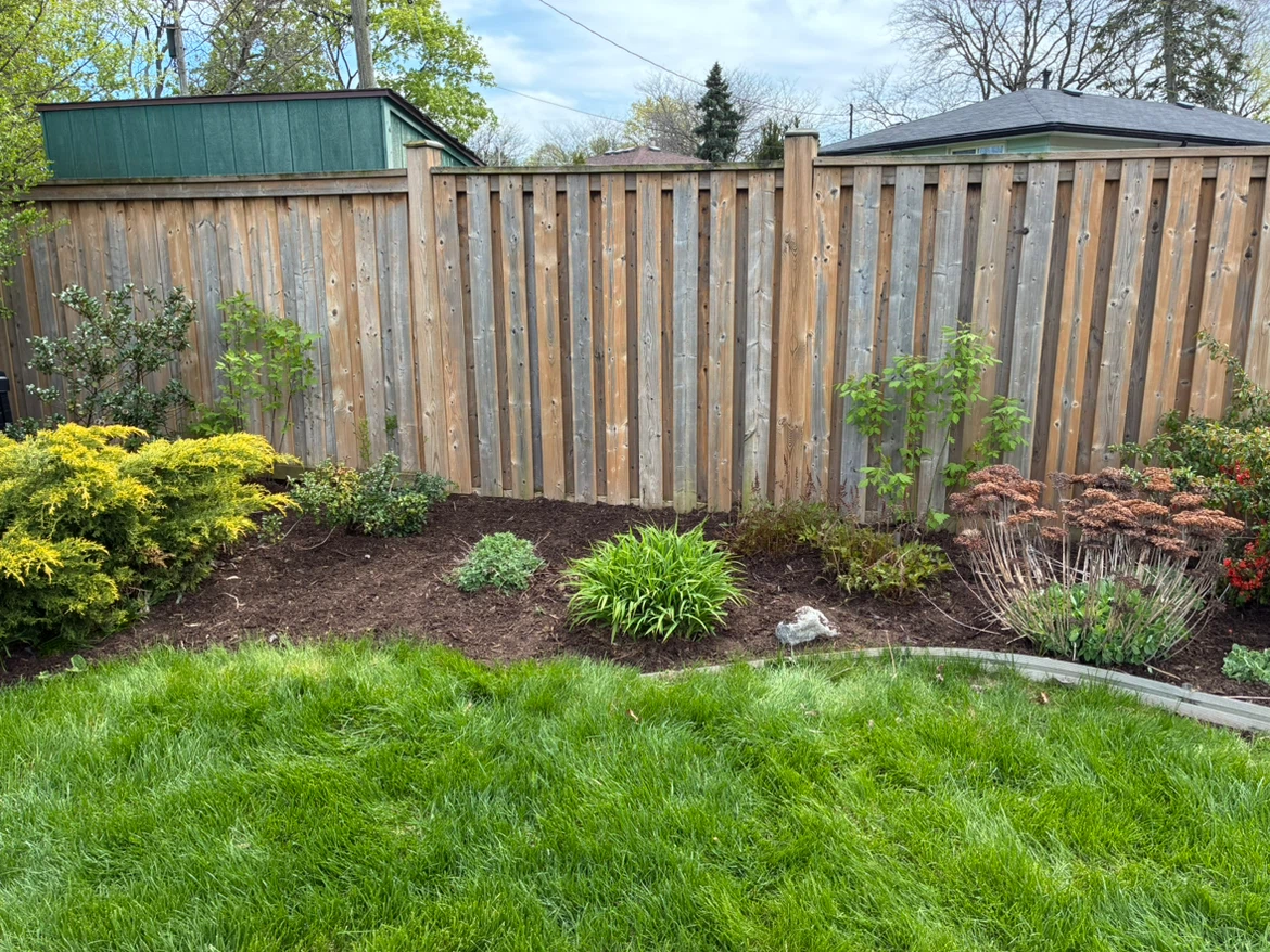 Lawn mowing and tree planting services