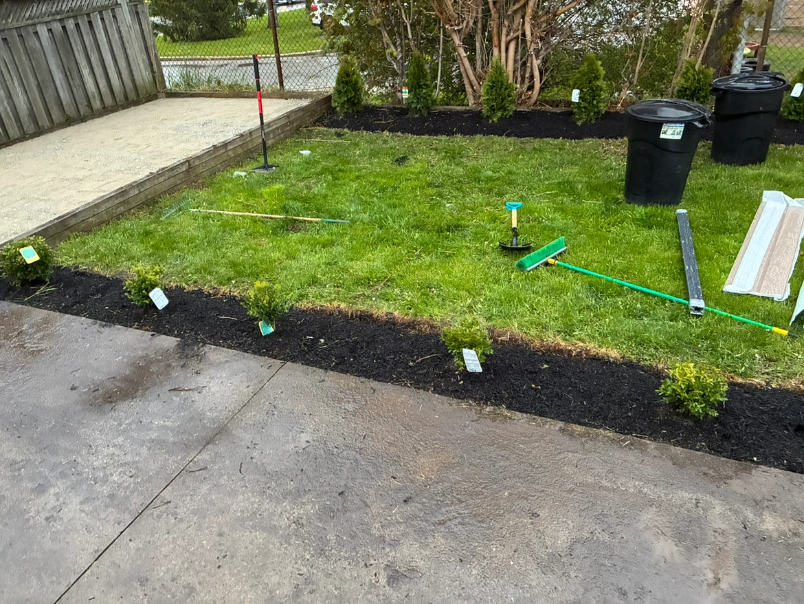 Lawn mowing and tree planting services - photo 2