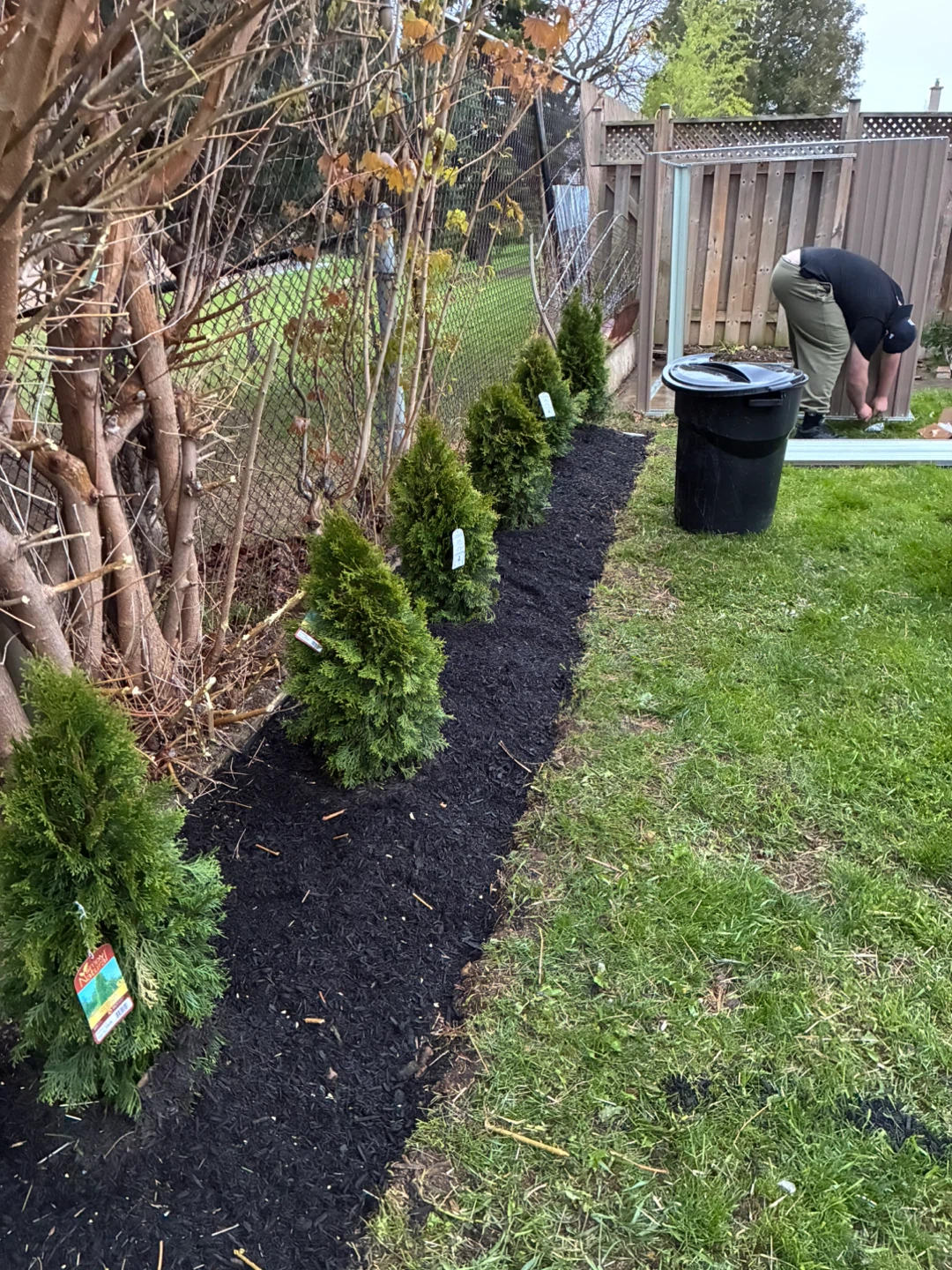 Lawn mowing and tree planting services - photo 3