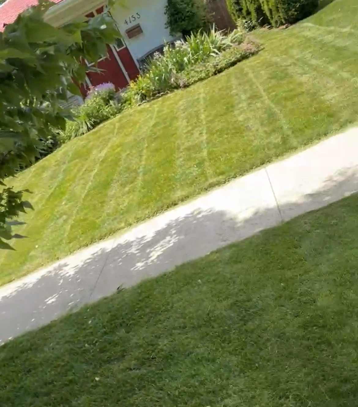 Lawn mowing and tree planting services - photo 5