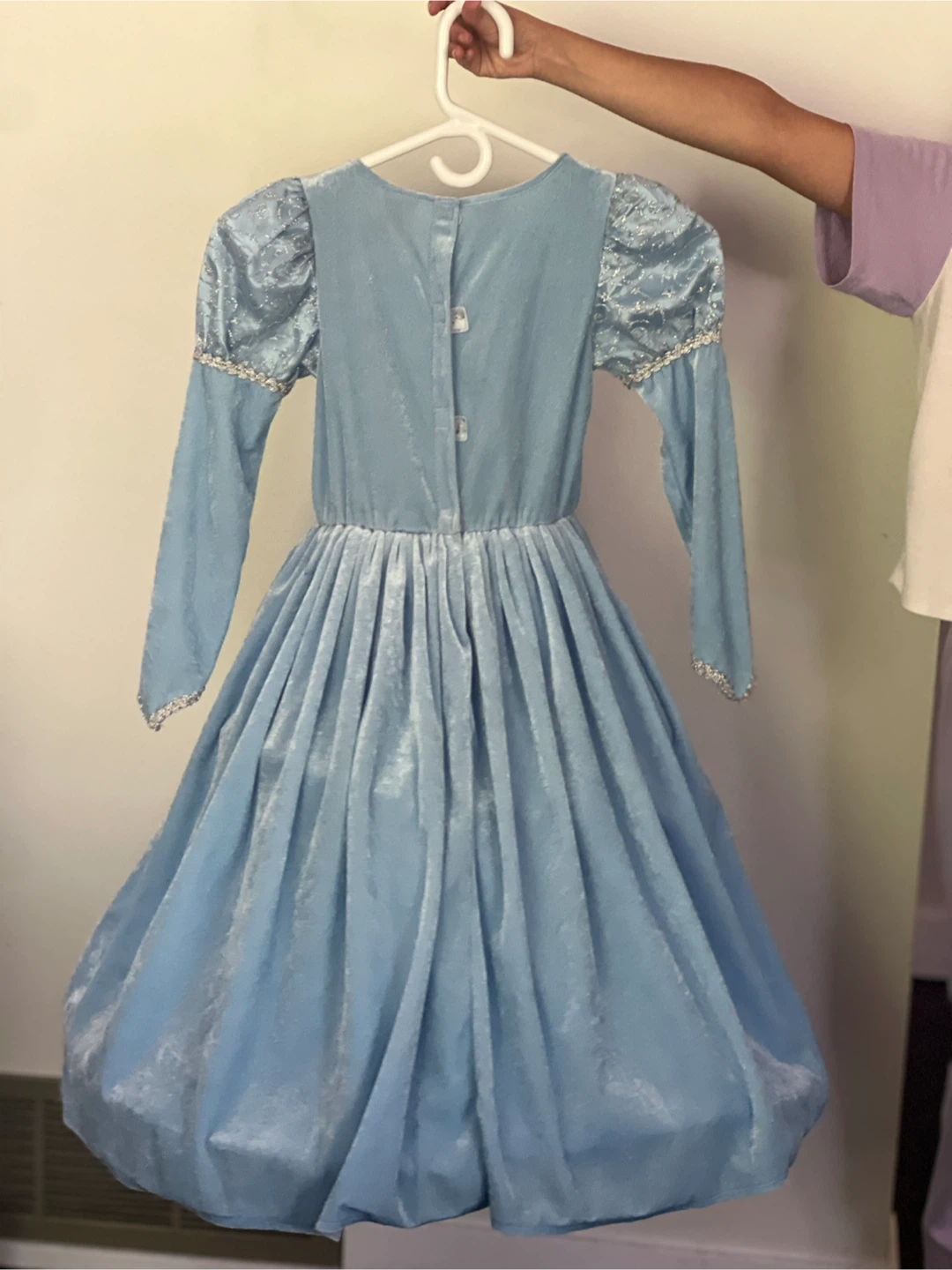 Blue Princess Dress with Faux Fur Trim and Necklace