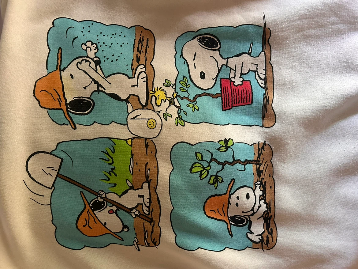 Peanuts Snoopy Graphic Hoodie - photo 2