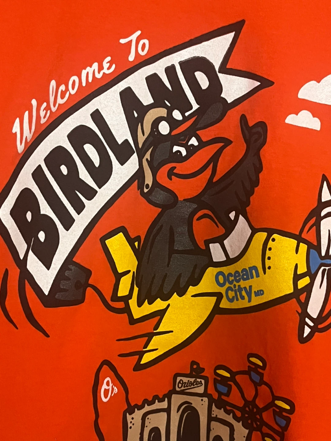 Birdland Surf Co. T-Shirt Baltimore Orioles MLB - photo 3