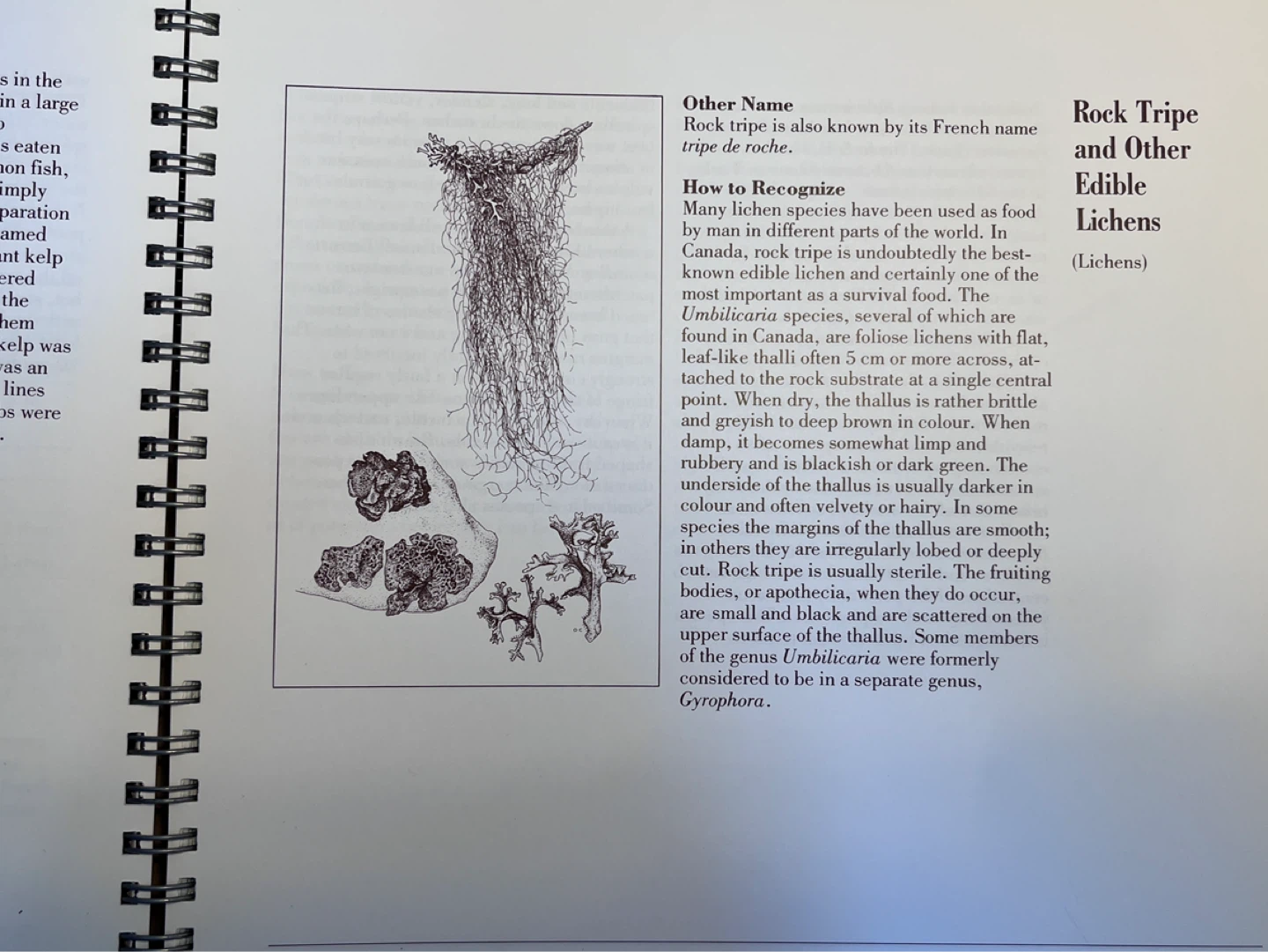 Wild Green Vegetables of Canada Book - photo 3