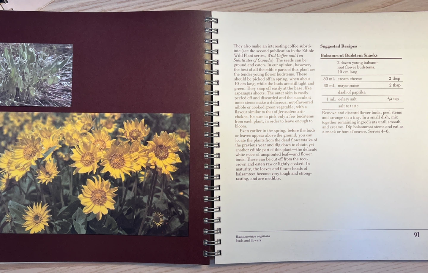 Wild Green Vegetables of Canada Book - photo 4