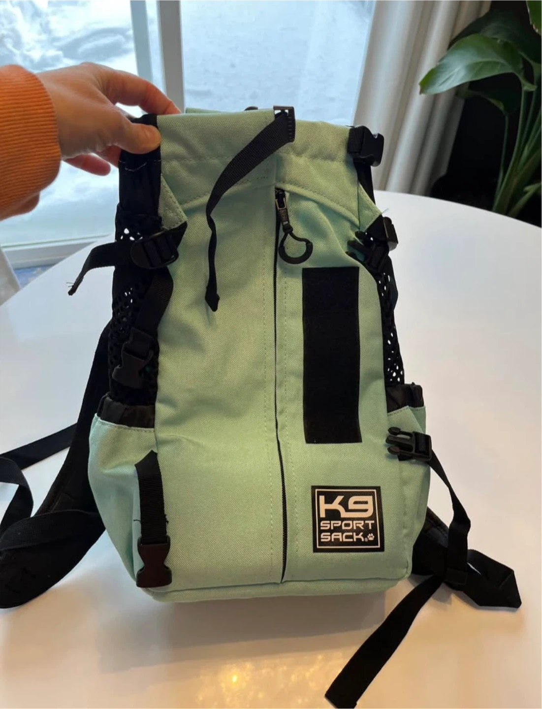 Dog Backpack/ Carrier - Size Small