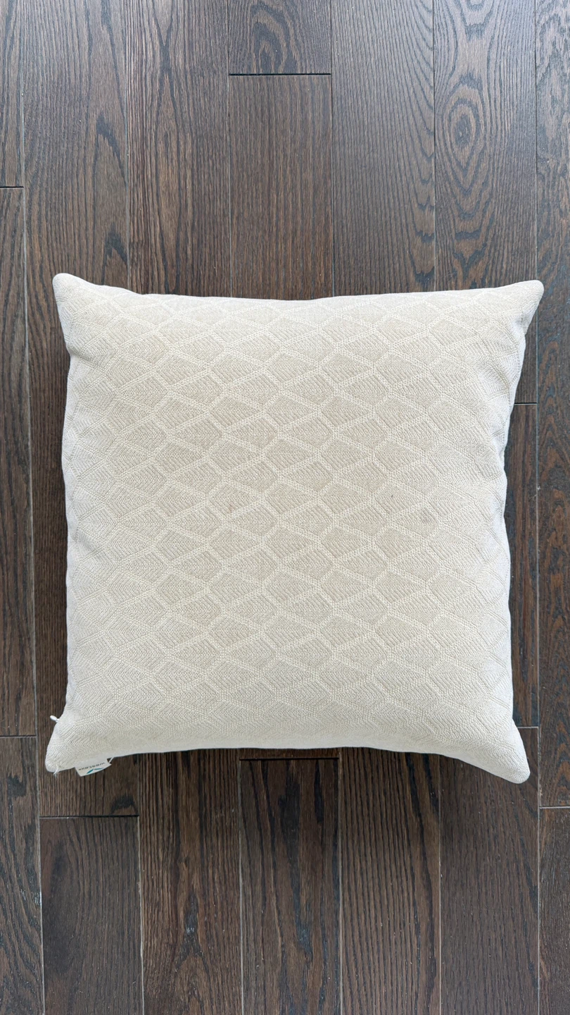 Decorative Throw Pillow