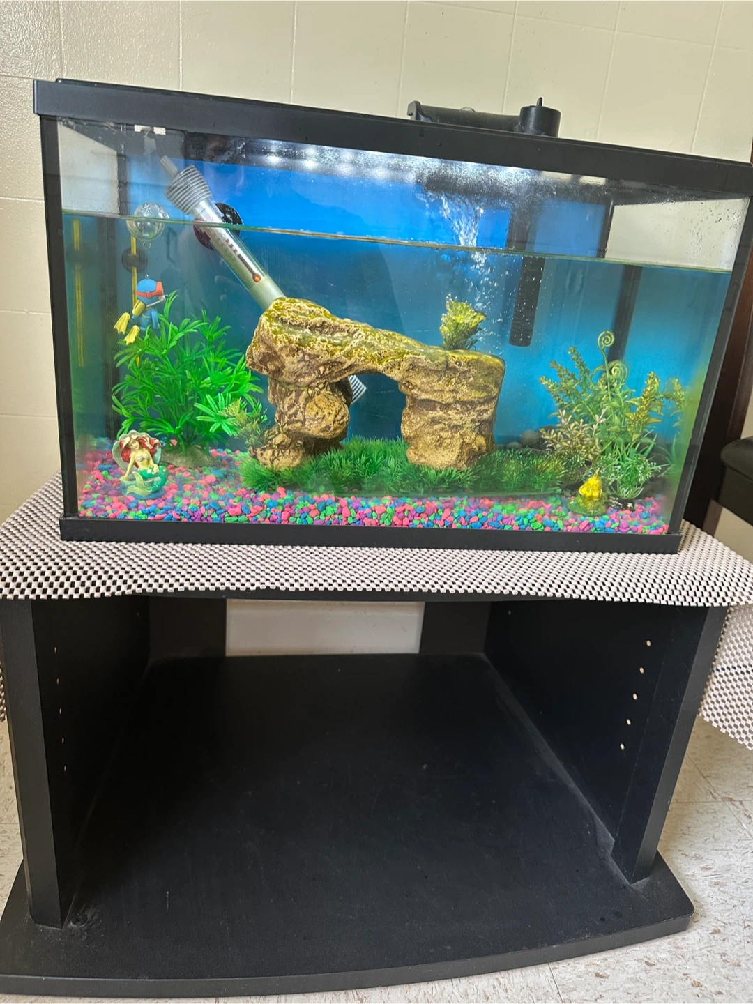 Complete Aquarium setup for sale - photo 3