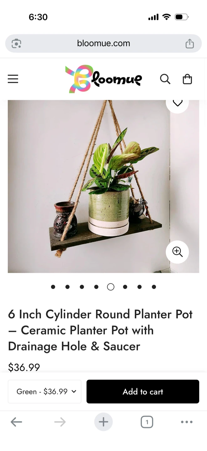 Bloomue 6 Inch Ceramic Planter Pot - photo 3