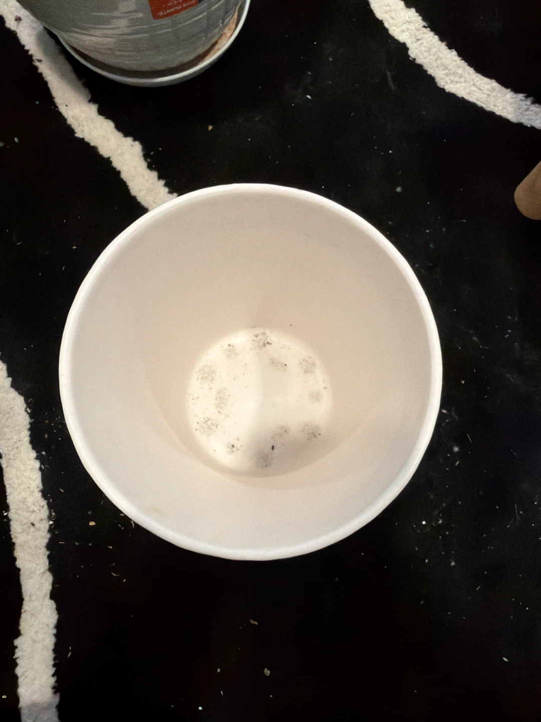 Small White Textured Plant Pot - photo 2