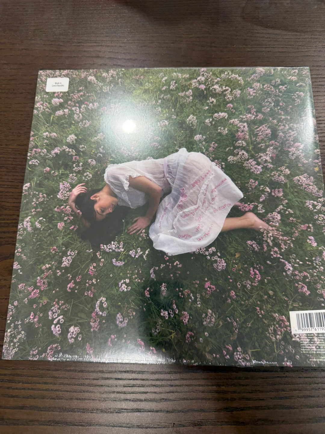 Olivia Rodrigo – You Seem Pretty Sad for a Girl So In Love - photo 2