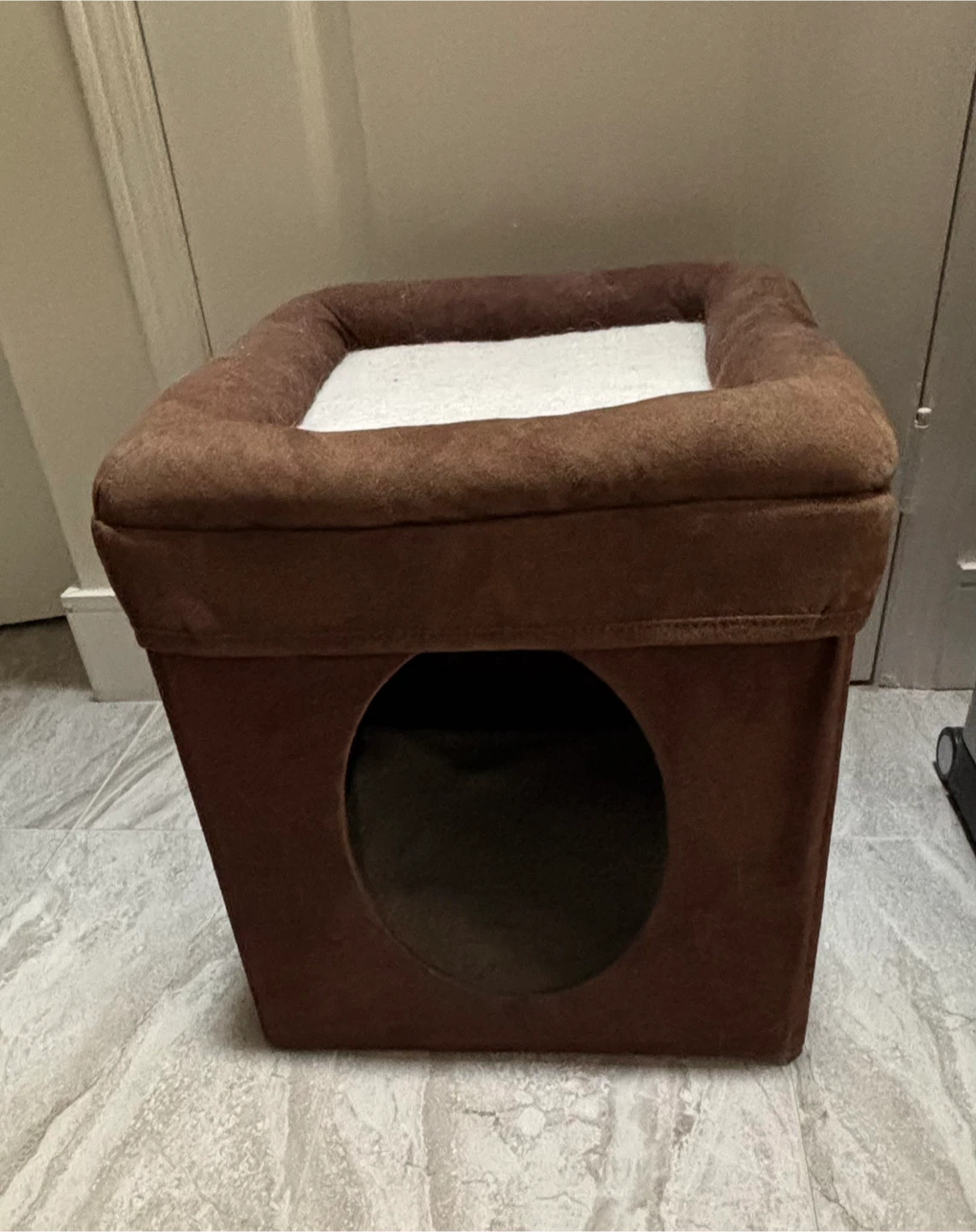 Cat House