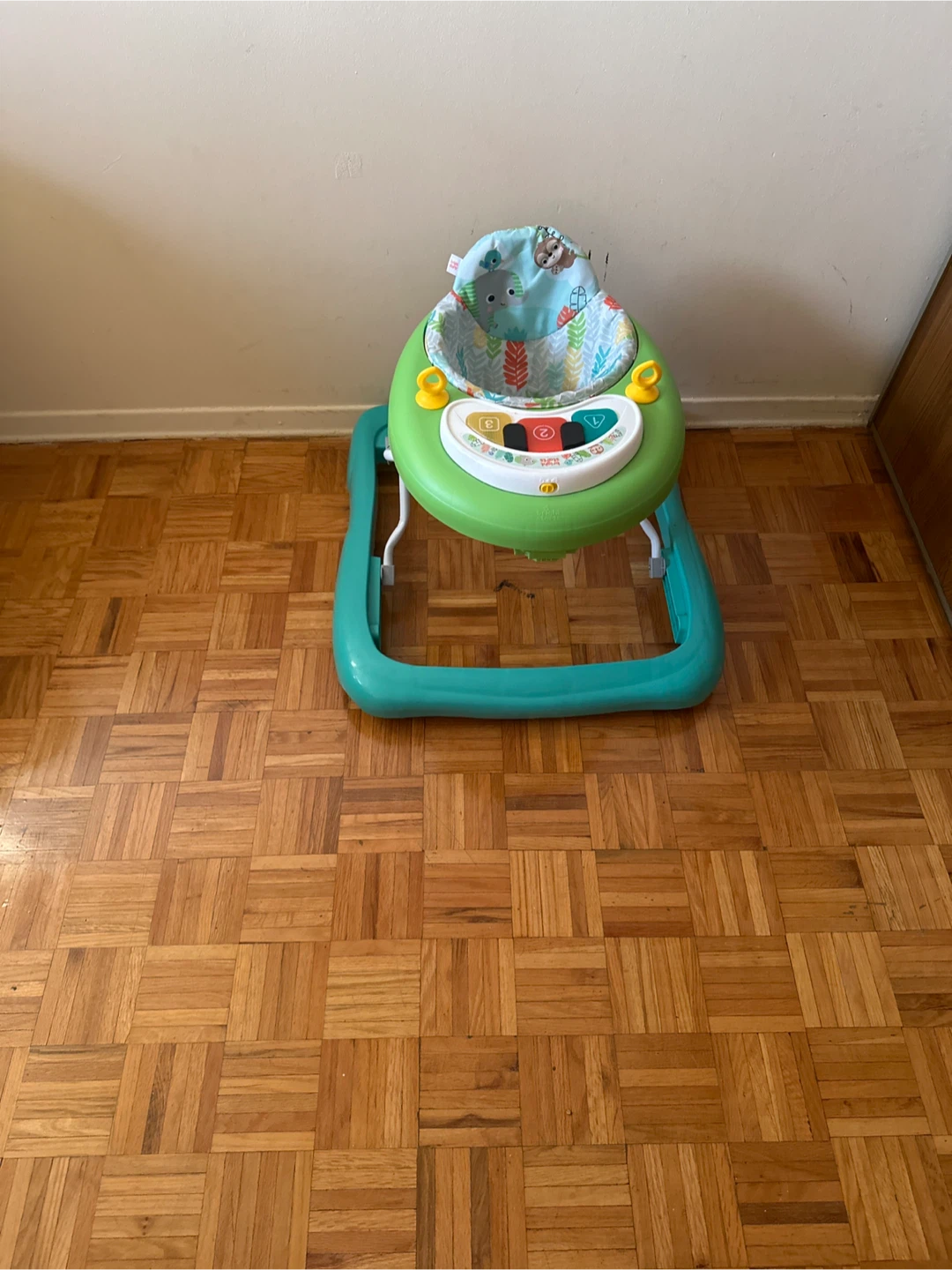 Bright Starts Roaming Safari Baby Walker