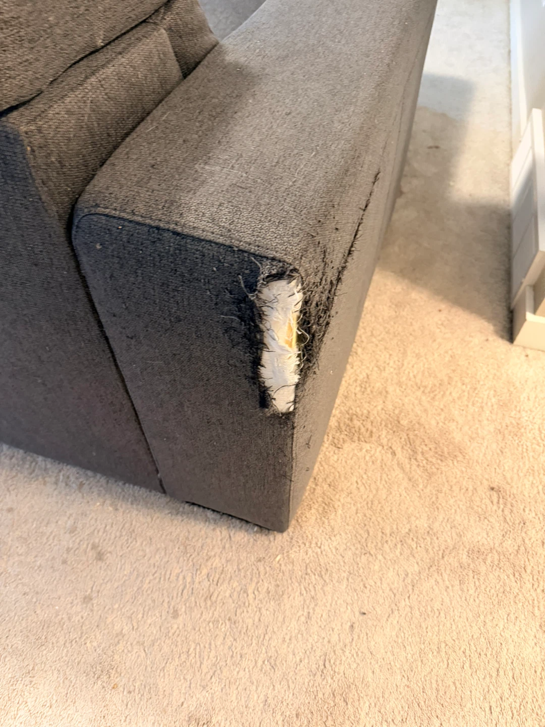 Sectional Sofa - photo 3