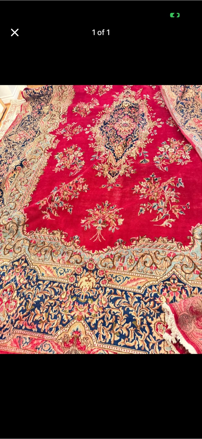 Persian Style Area Rug