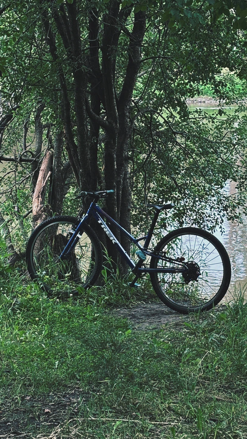 Blue Trek Mountain Bike - photo 4