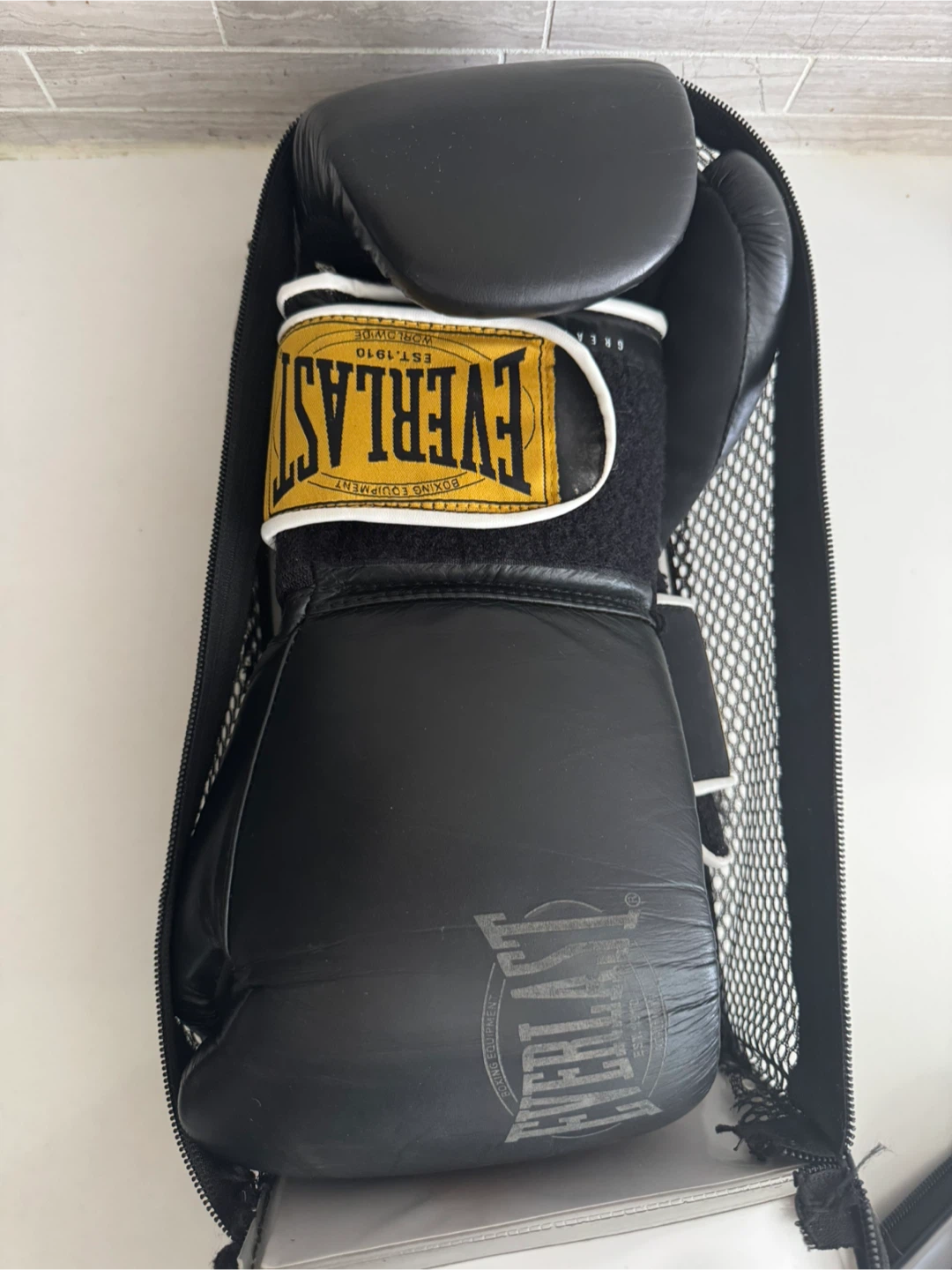 Everlast 1910 10oz Leather Boxing Gloves