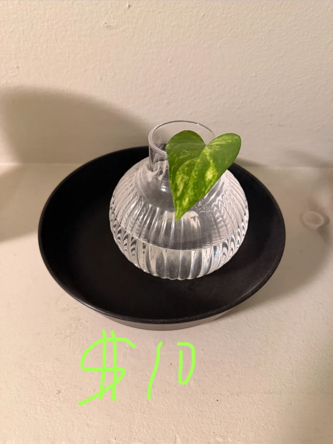 Honeywell Personal Mini Air Circulator Fan - photo 5