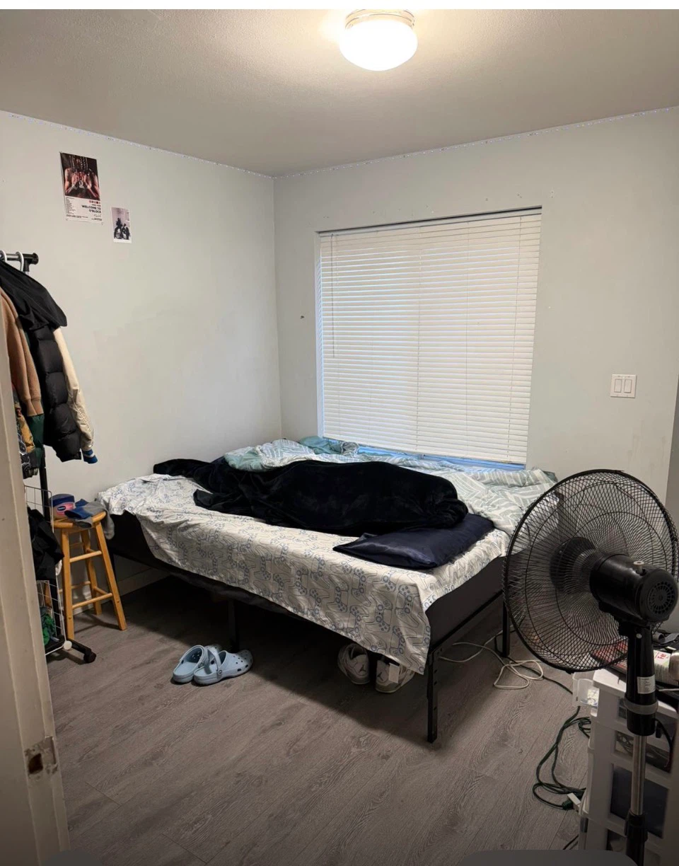 Three bedroom for rent - photo 3