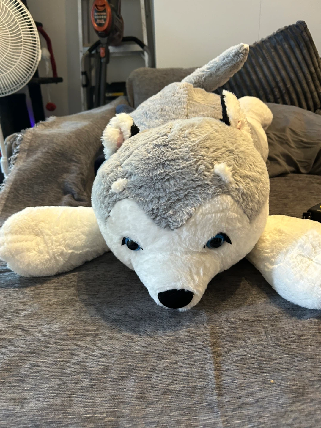 Large stuffed plush husky