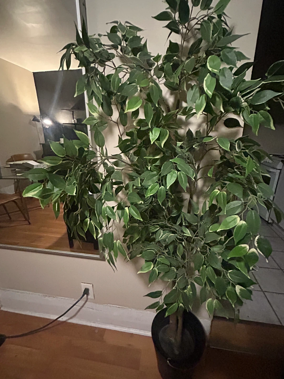 Fake Plants x 2 - photo 3