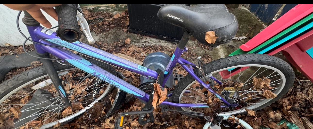 All season Bicycle