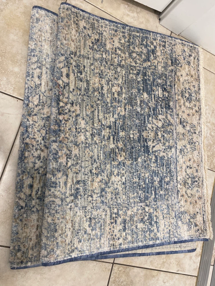 Surya Palazzo Rug 2' 3" x 2' - photo 2