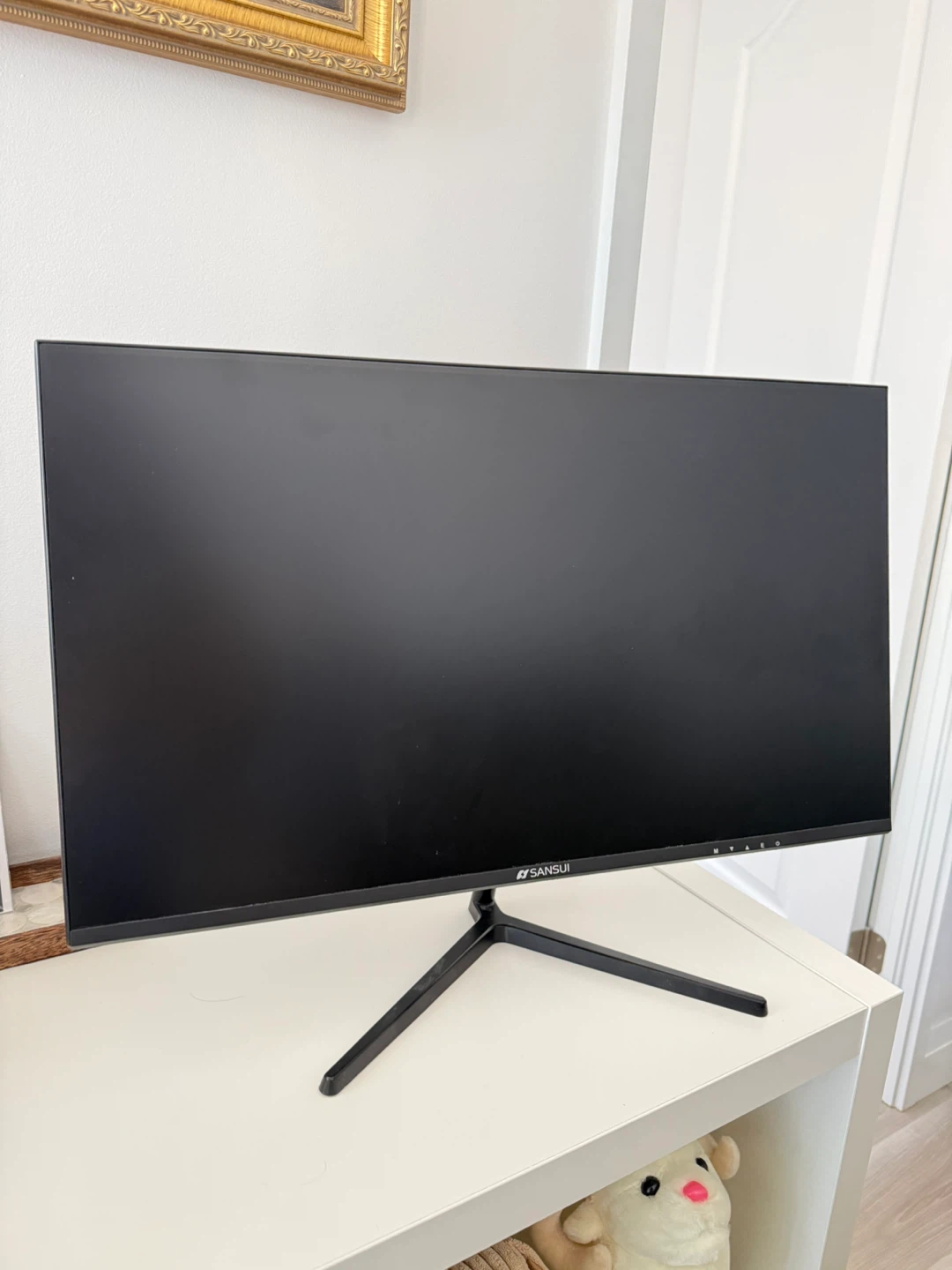 Sansui 24” Monitor