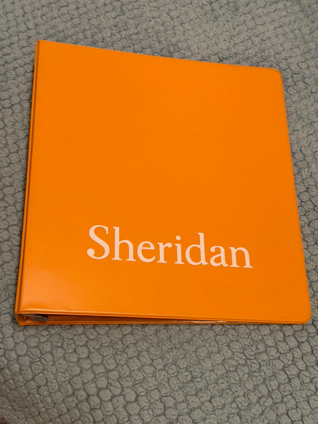 Moving sales: Orange 3-Ring Binder