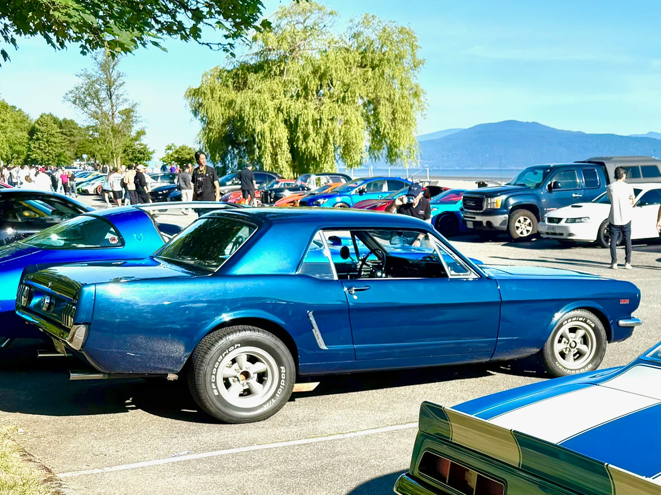 Ford Mustang 302 Coupe 1965 - photo 3