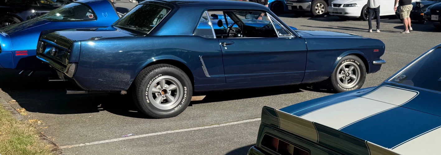 Ford Mustang 302 Coupe 1965 - photo 4