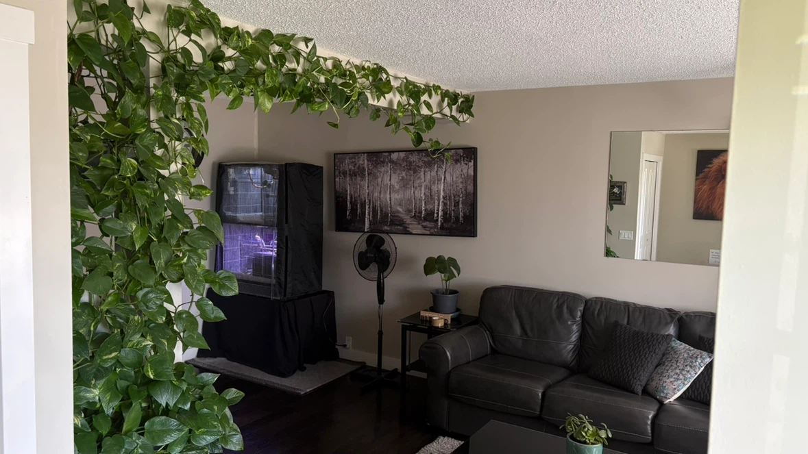 House for Rent - photo 3