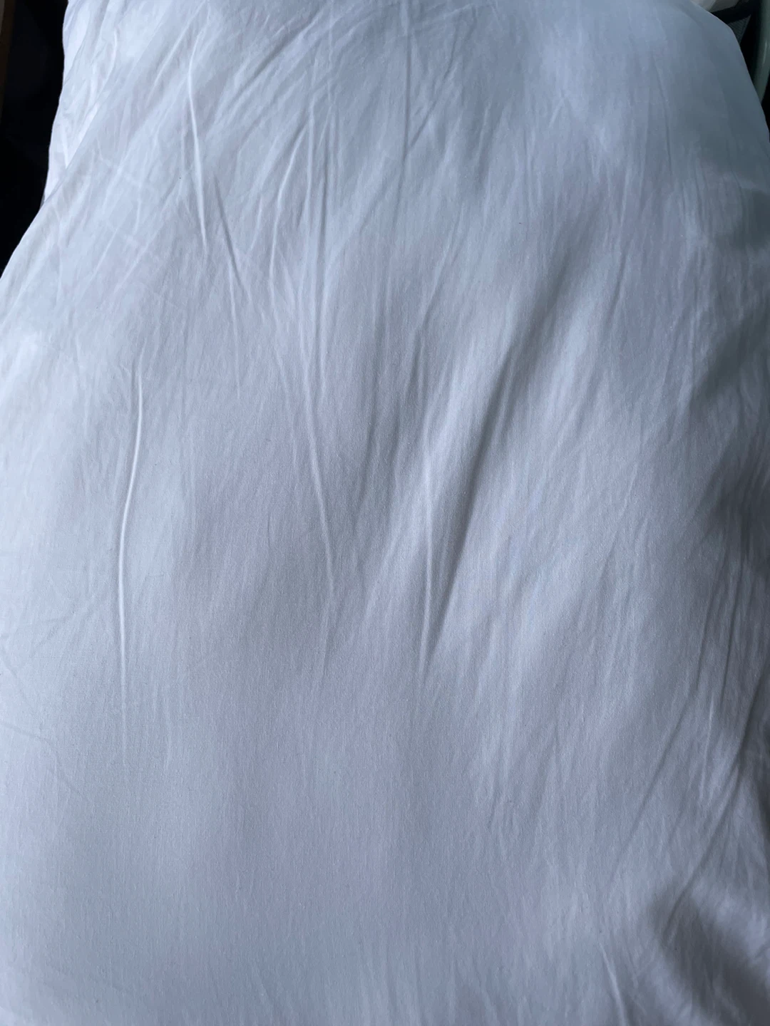 new pillow - photo 2