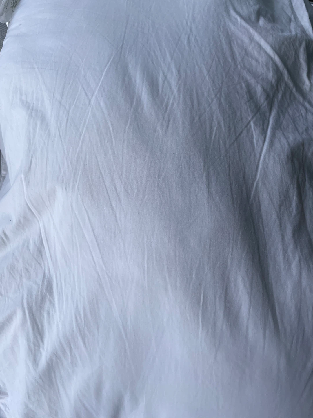 new pillow - photo 3