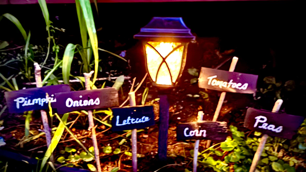 Garden Plant Markers - photo 2