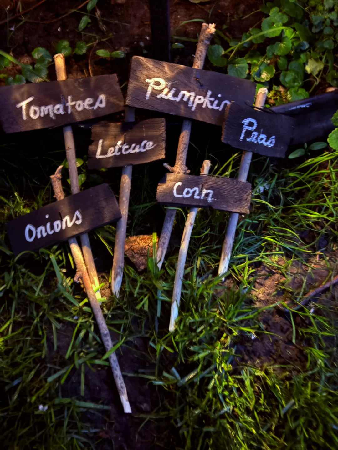 Garden Plant Markers - photo 3