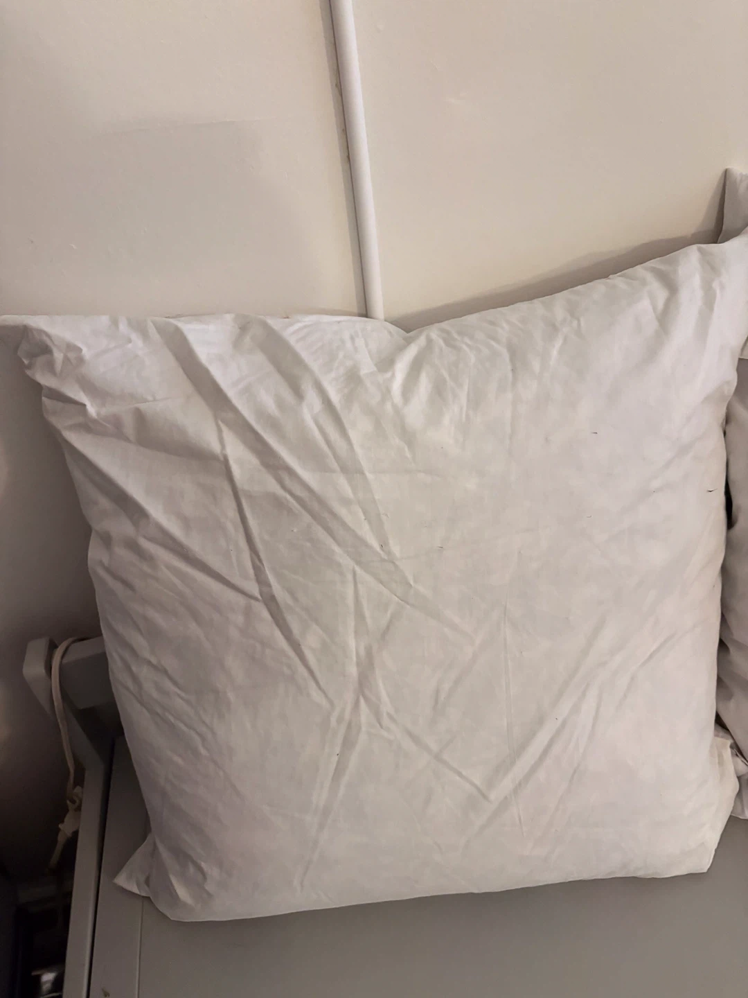 Set of 2 White Throw Pillow Inserts 22x22 Inch