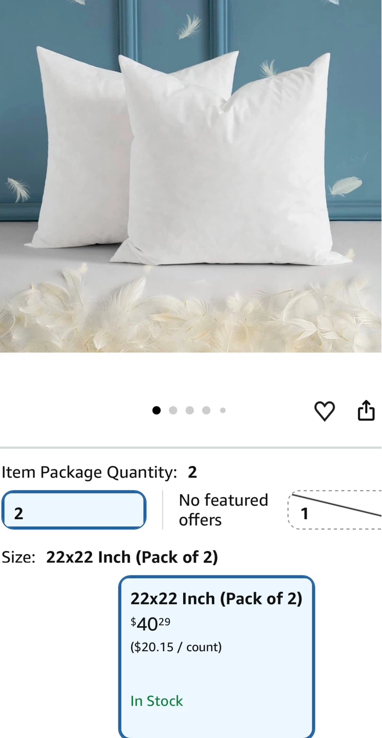 Set of 2 White Throw Pillow Inserts 22x22 Inch - photo 3