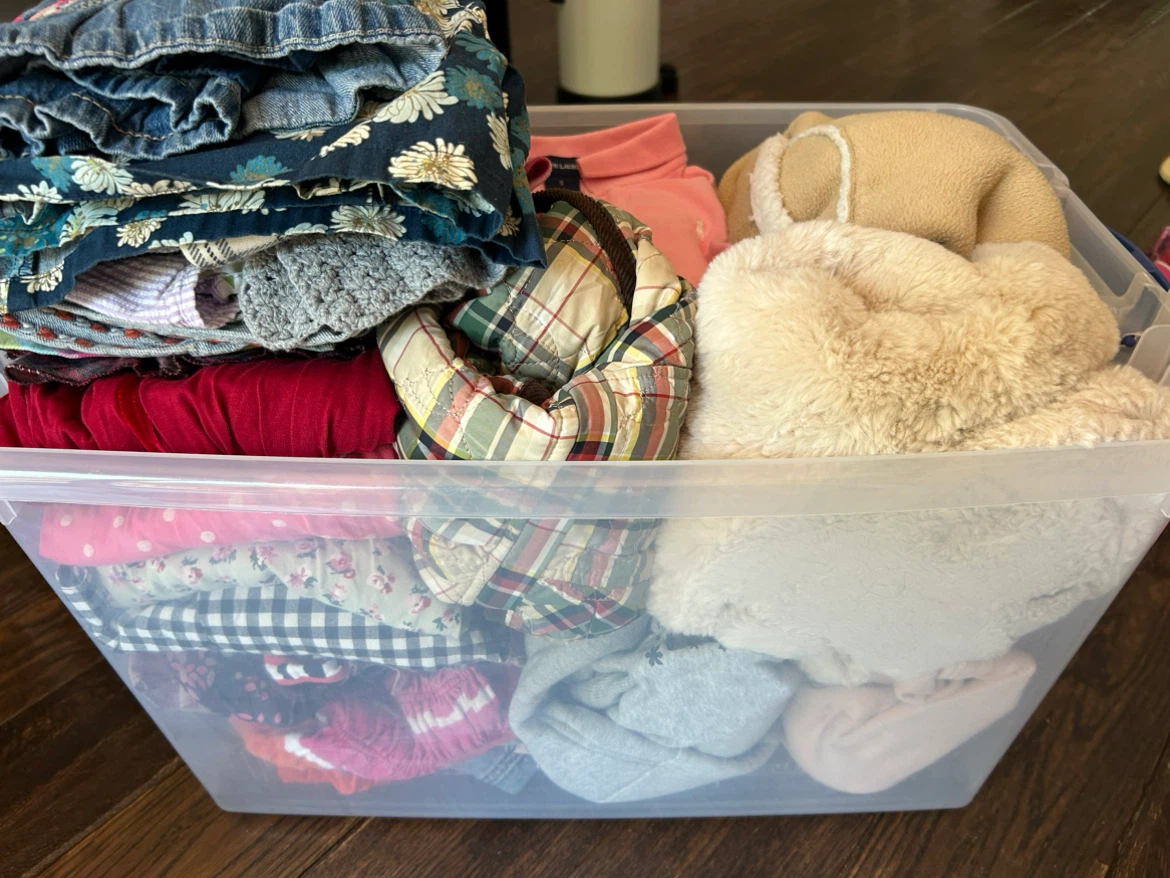 Assorted Girl’s Clothing Bundle