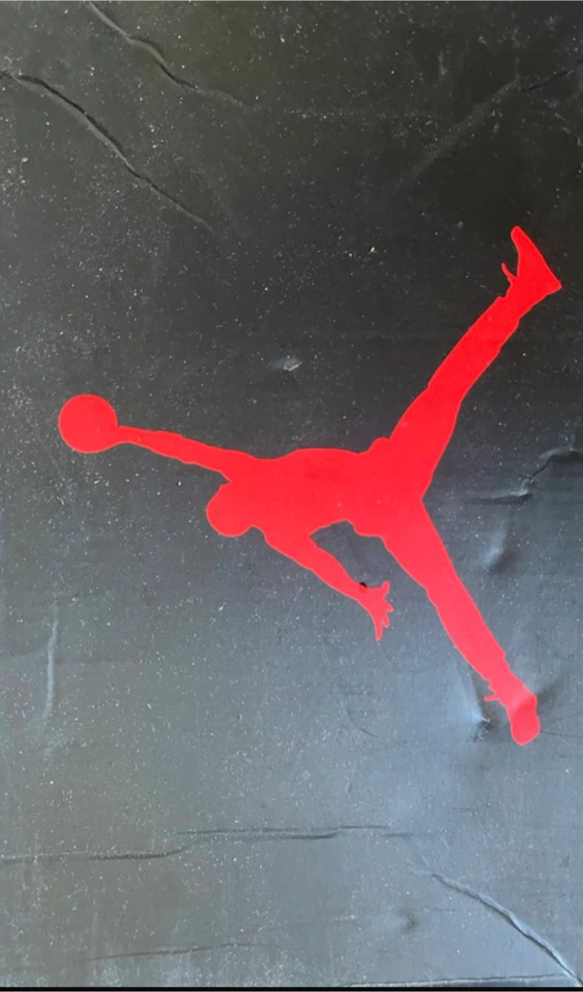 OG Jordan Bred 4s used read disc - photo 5