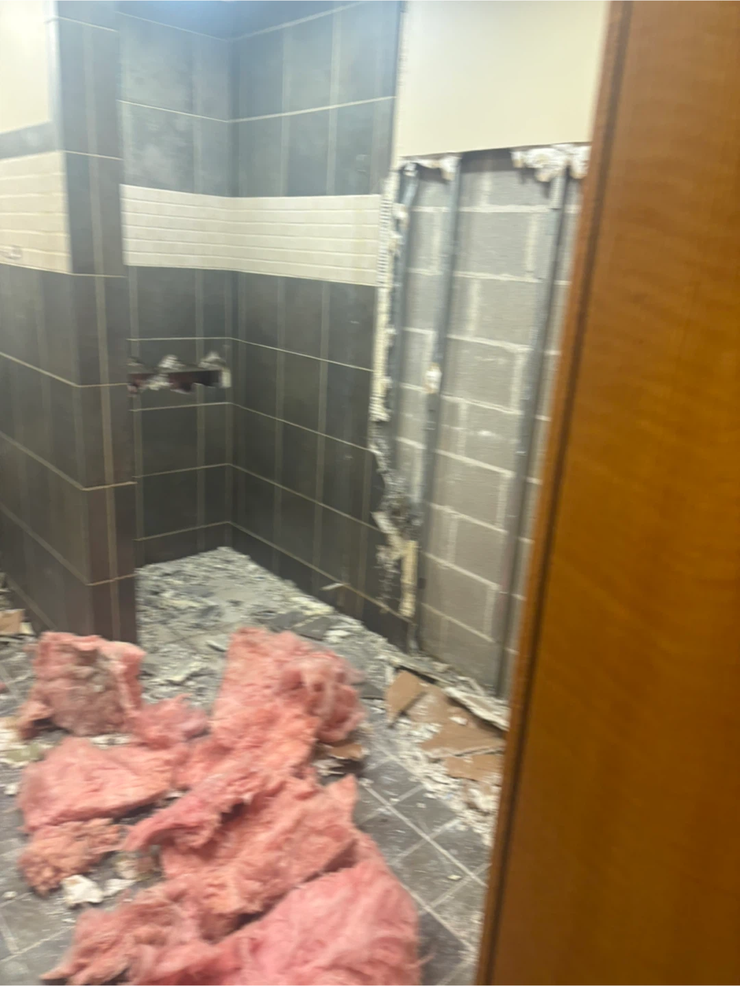 Demolition Debris and Insulation