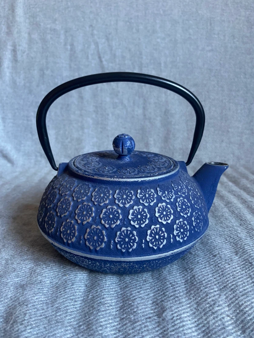 Blue Cast Iron Teapot with Floral Design