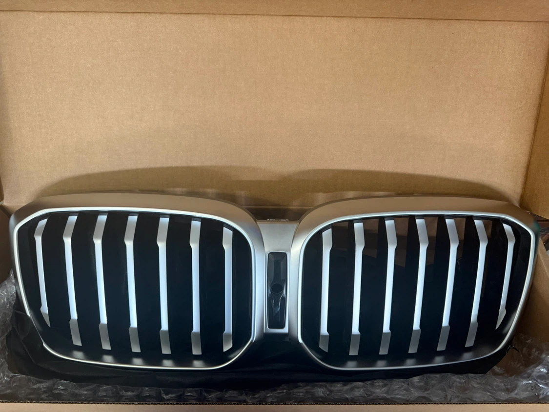 BMW Kidney Grille