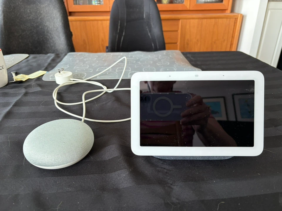 Google Neat Hub and Google Nest Mini - photo 2
