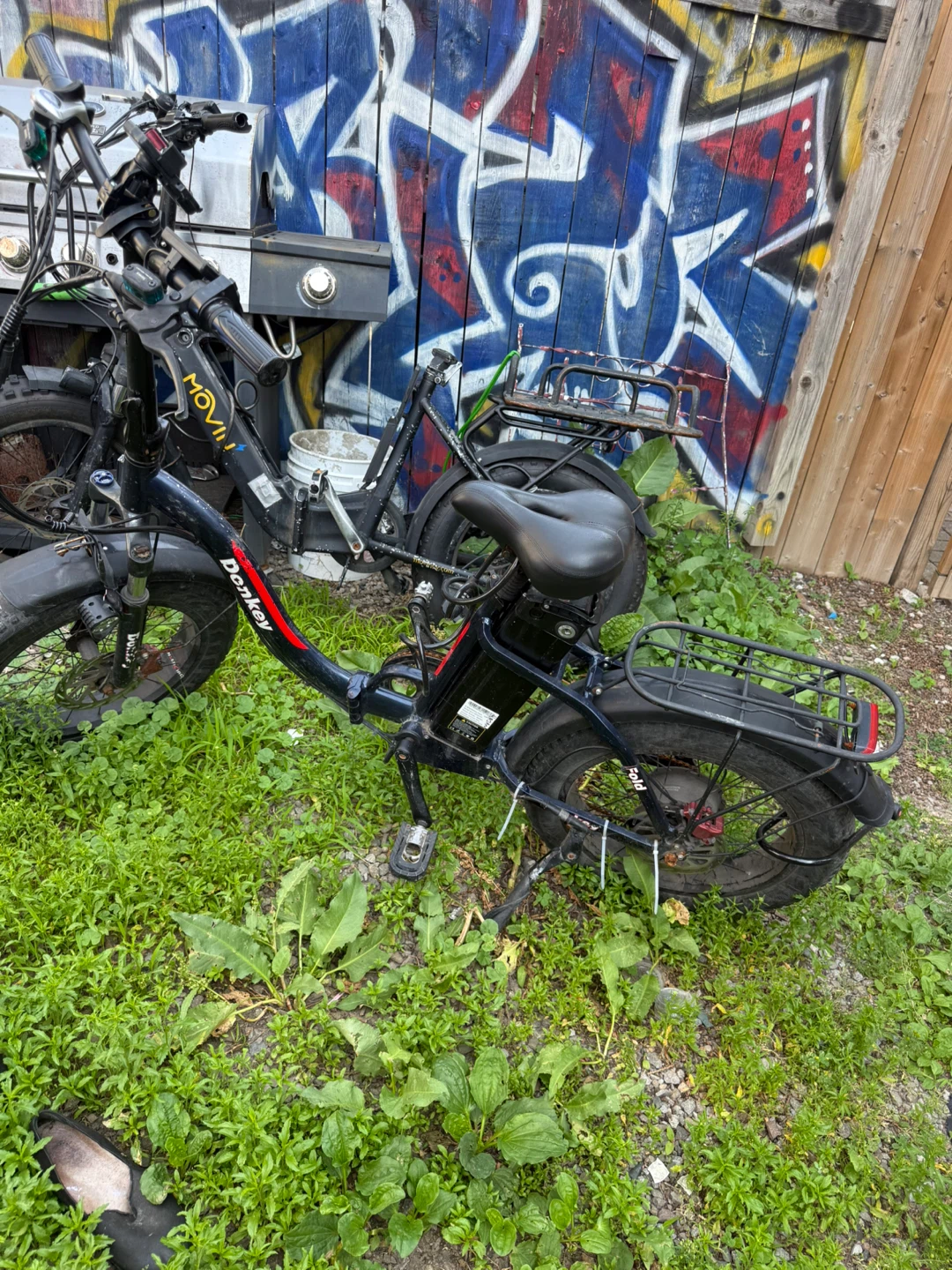Donkey Fold Electric Fat Bike