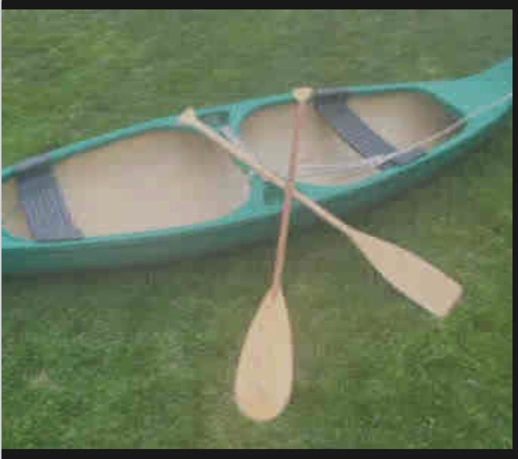Canoe rental - photo 2