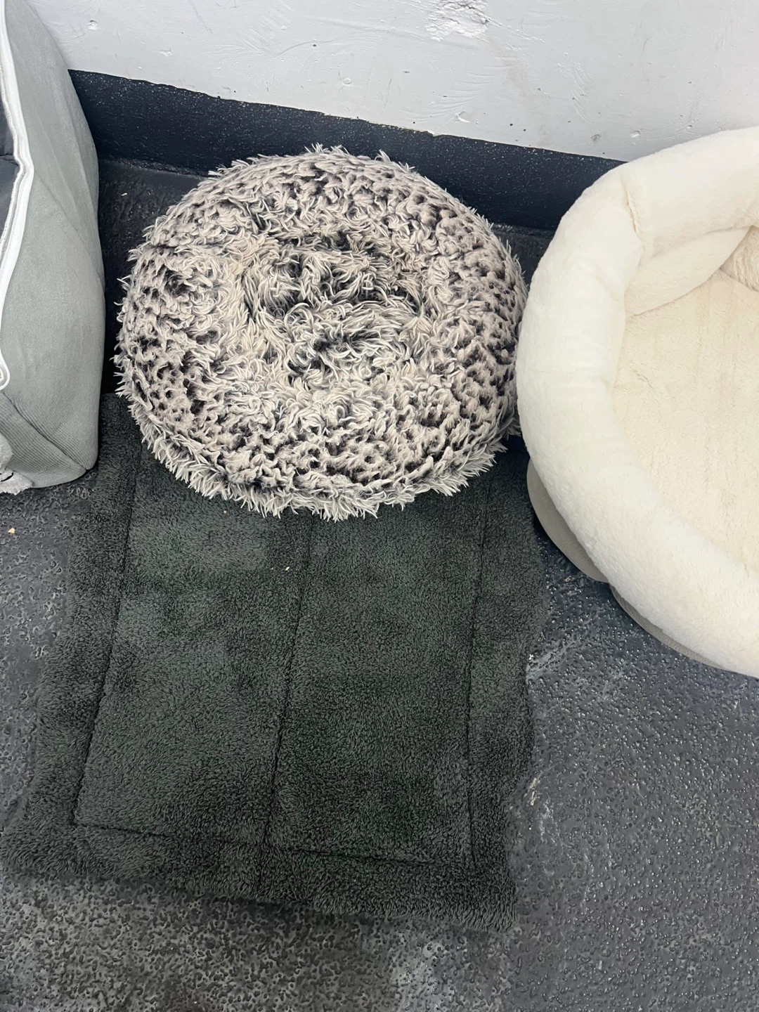 Pet Bed & Mat Bundle – Best Friends by Sheri, Pawsh & More