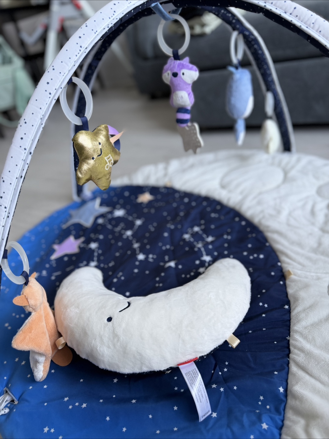 Skip*hop Adorable Baby Play Mat with Toys