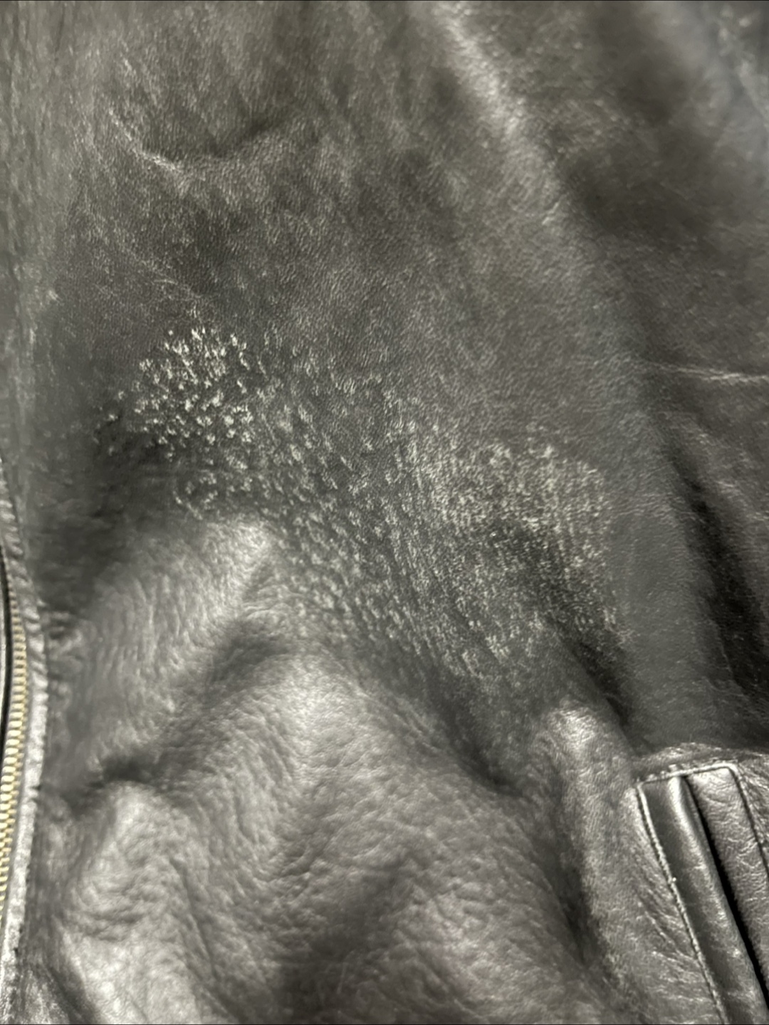 Planet Hollywood Toronto Leather Jacket - photo 4
